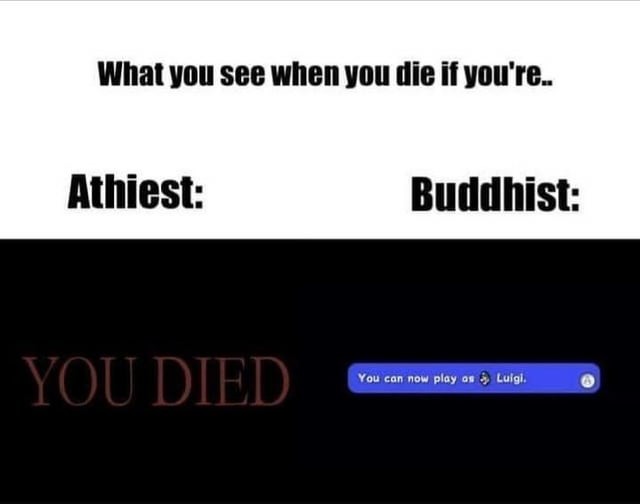 What you see when you die - meme