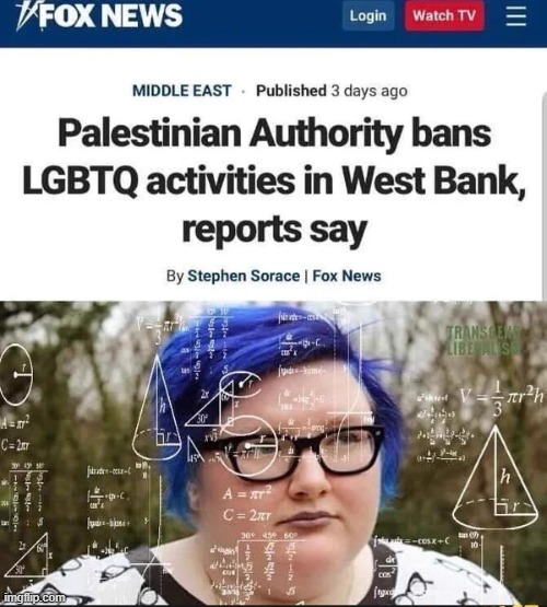 Palestine bans LGBTQ - meme