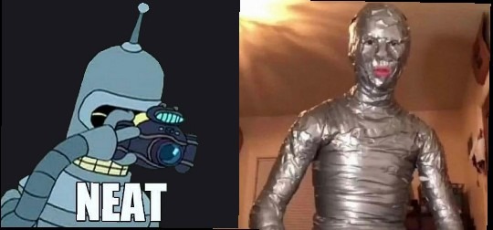 Walks like a duct, quacks like a duct... - meme