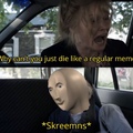 The Skreemns