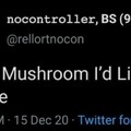 Them magic mushrooms