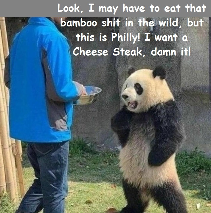 Panda Sandwich - meme