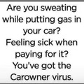 Carowner virus