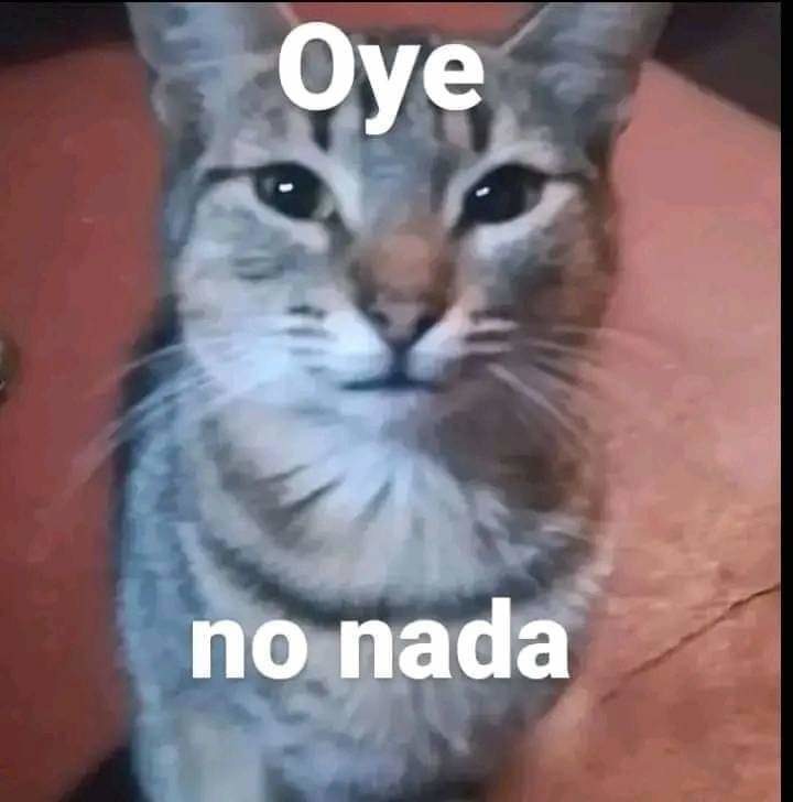 oye no nada - meme