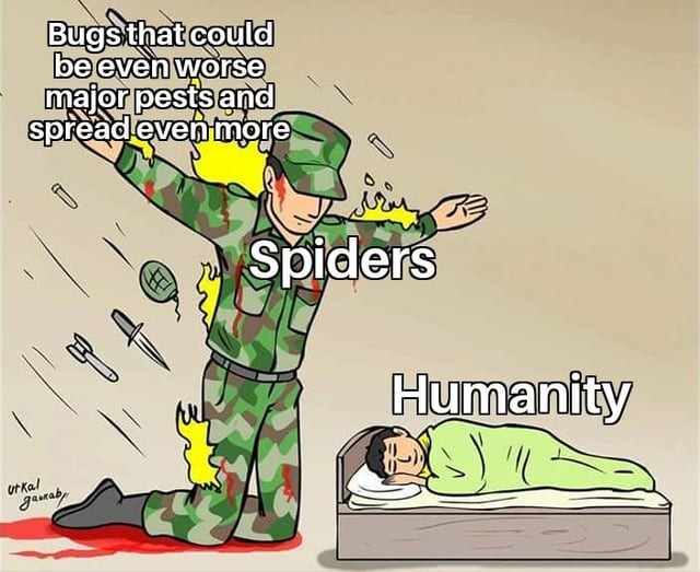 ty for everything spiders - meme