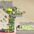 ty for everything spiders