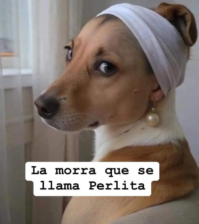 Perlita - meme