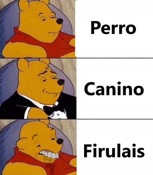 No encontré la plantilla perfecta :fuuu: - meme