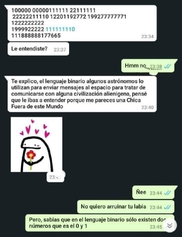 No quiero arruinar tu labia, pero el binario solo usa 0 y 1 - meme