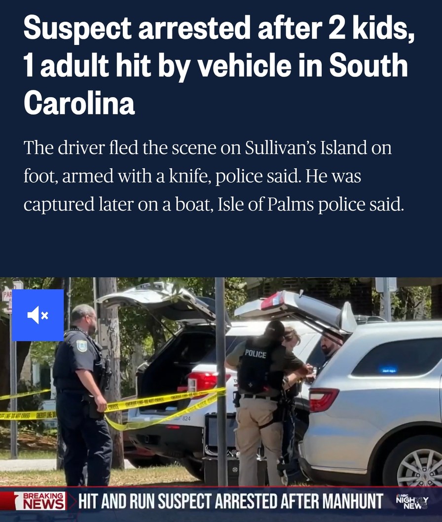 Hit and run suspect caught after escaping by boat with a knife - meme