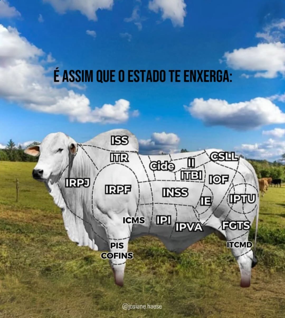 O Governo só quer mamar no contribuinte - meme