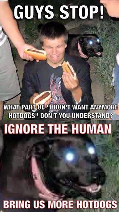 Hot doggos - meme