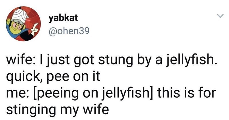 take that jellyfish! - meme
