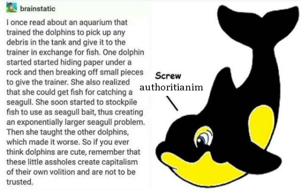 Aqua anarchism at work - meme