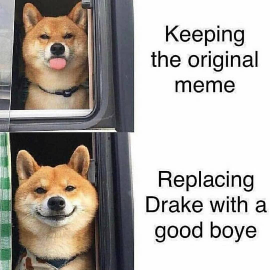 A very good boye - meme