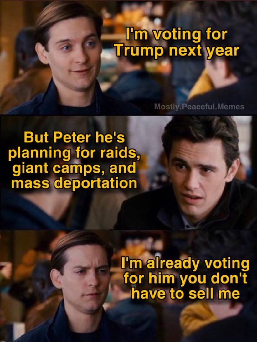 Peter voting in 2024 - meme