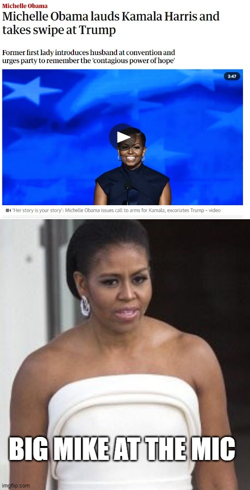 Michelle Obama lauds Kamala Harris and takes swipe at Trump - meme