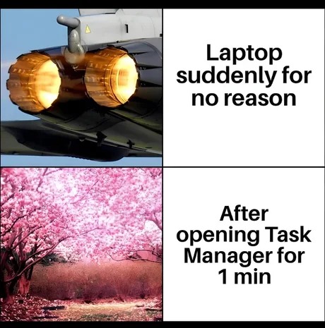 Laptops get scare when you open the task manager - meme