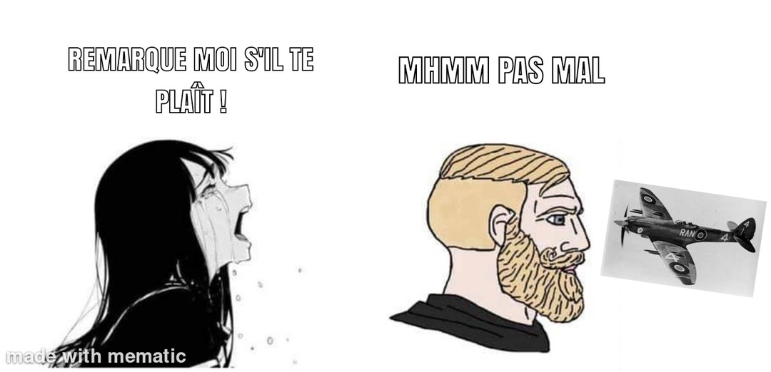 Fait que j'arrête de mater cet avion - meme