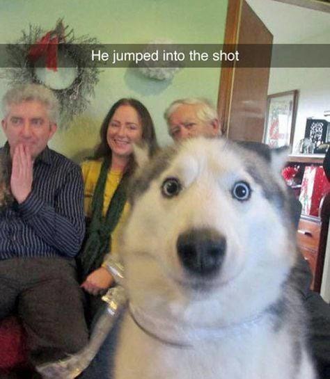 That one friend who photobombs like it’s a sport - meme