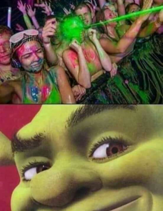 Ste Shrek - meme