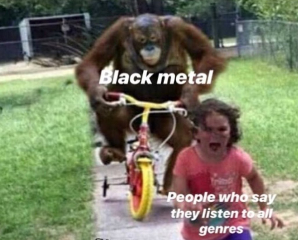 Black metal - meme