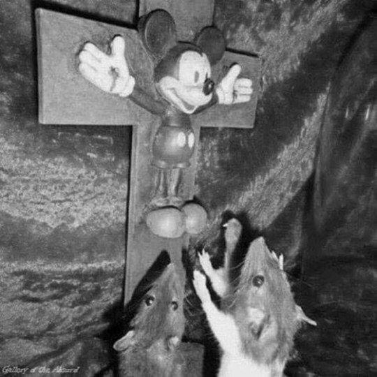Ave Mickey o rei dos mortos - meme