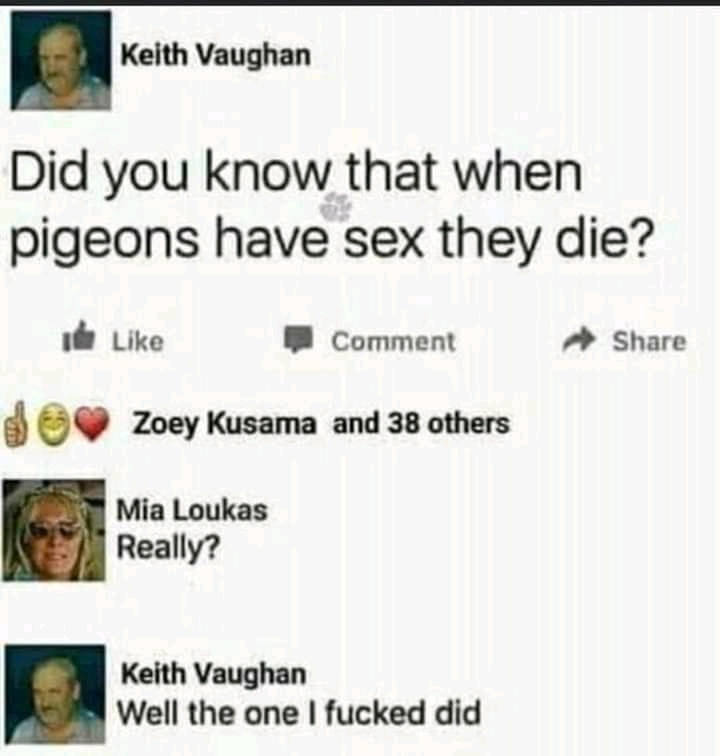 Pigeon molester - meme