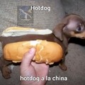 Hotdog china version