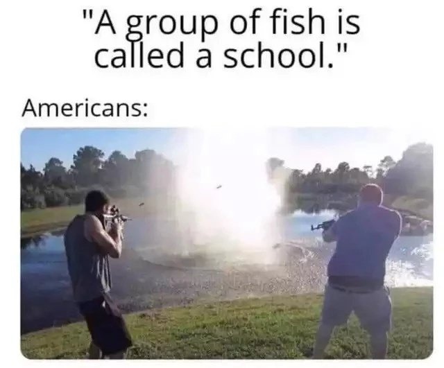 School of fish? Nah bro that's a whole university - meme