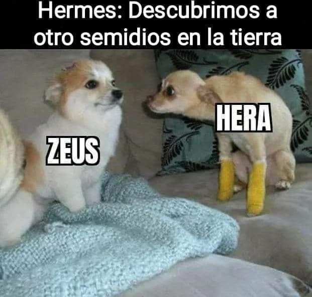 Soy kazajó - meme