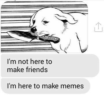 Meme Dog
