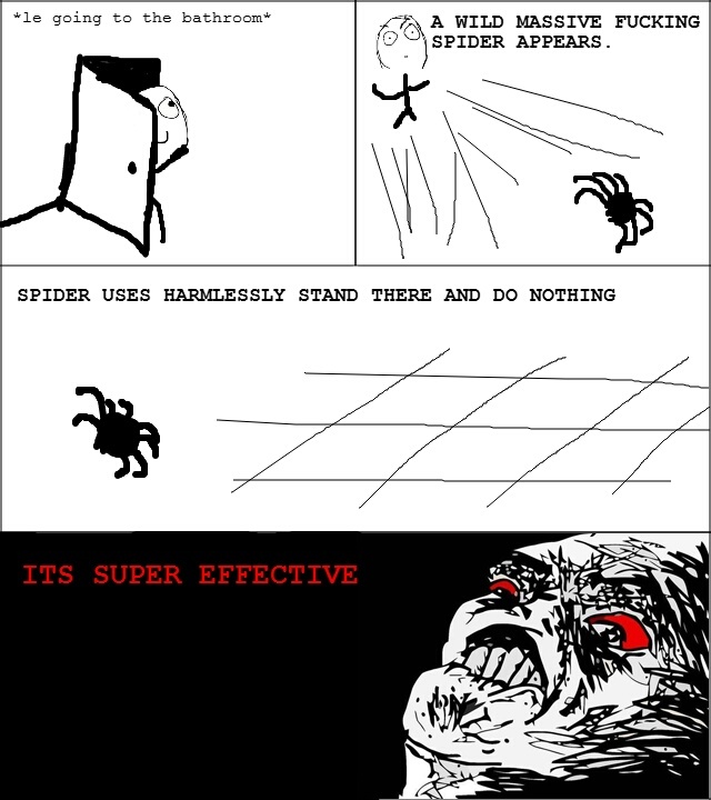 I hate spiders - meme