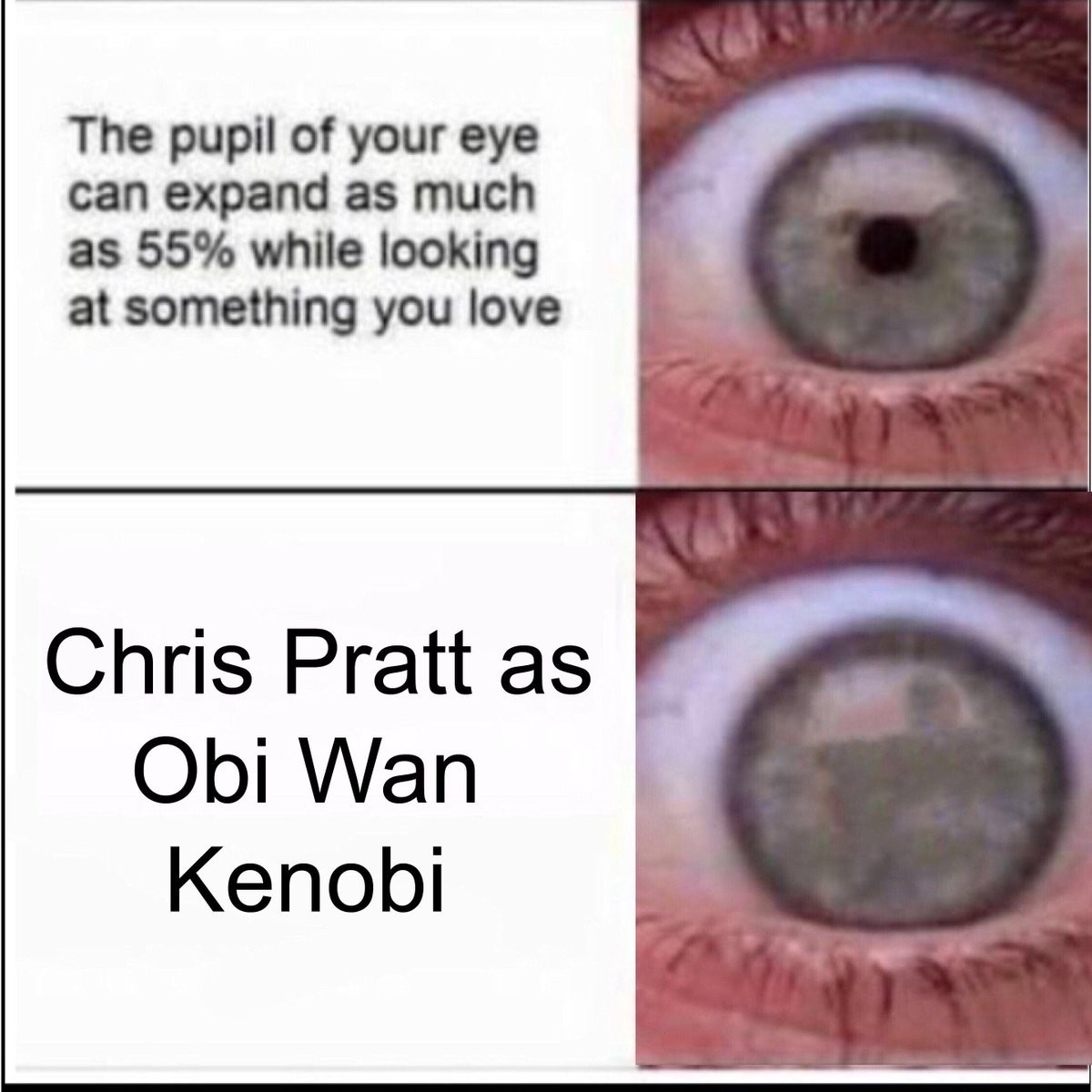Obi - meme