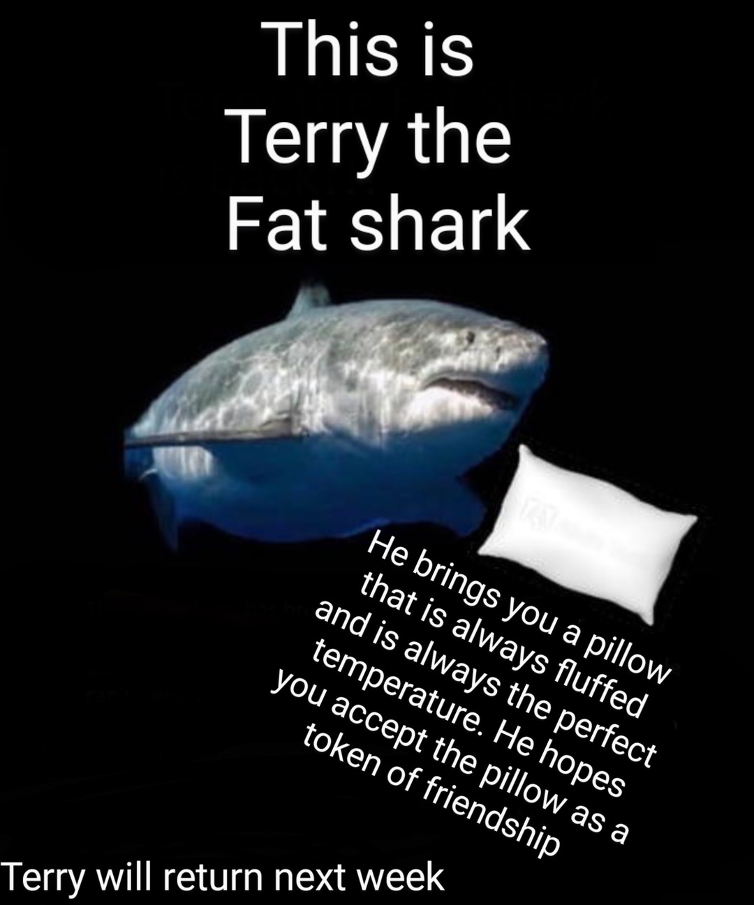 Last week terry brought a letter from king bonk, it was requested that terry translates the message. The message was translated by Bonkish expert, and fellow memedroid user @HUHh. Kung bonk requests reinforcements for the war he is currently in.