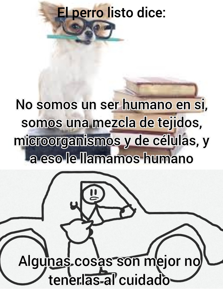 Espero que esto pase de moderacion - meme