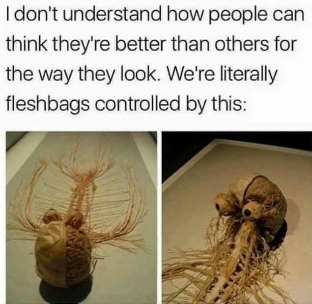 Flesh bag - meme