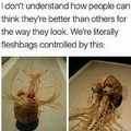 Flesh bag