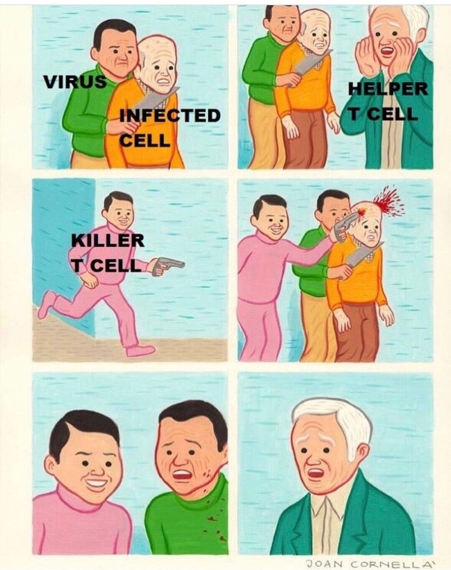 Cells at work - meme