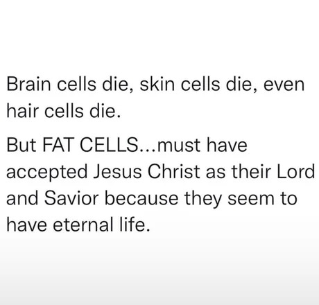 Fat cells stonks - meme
