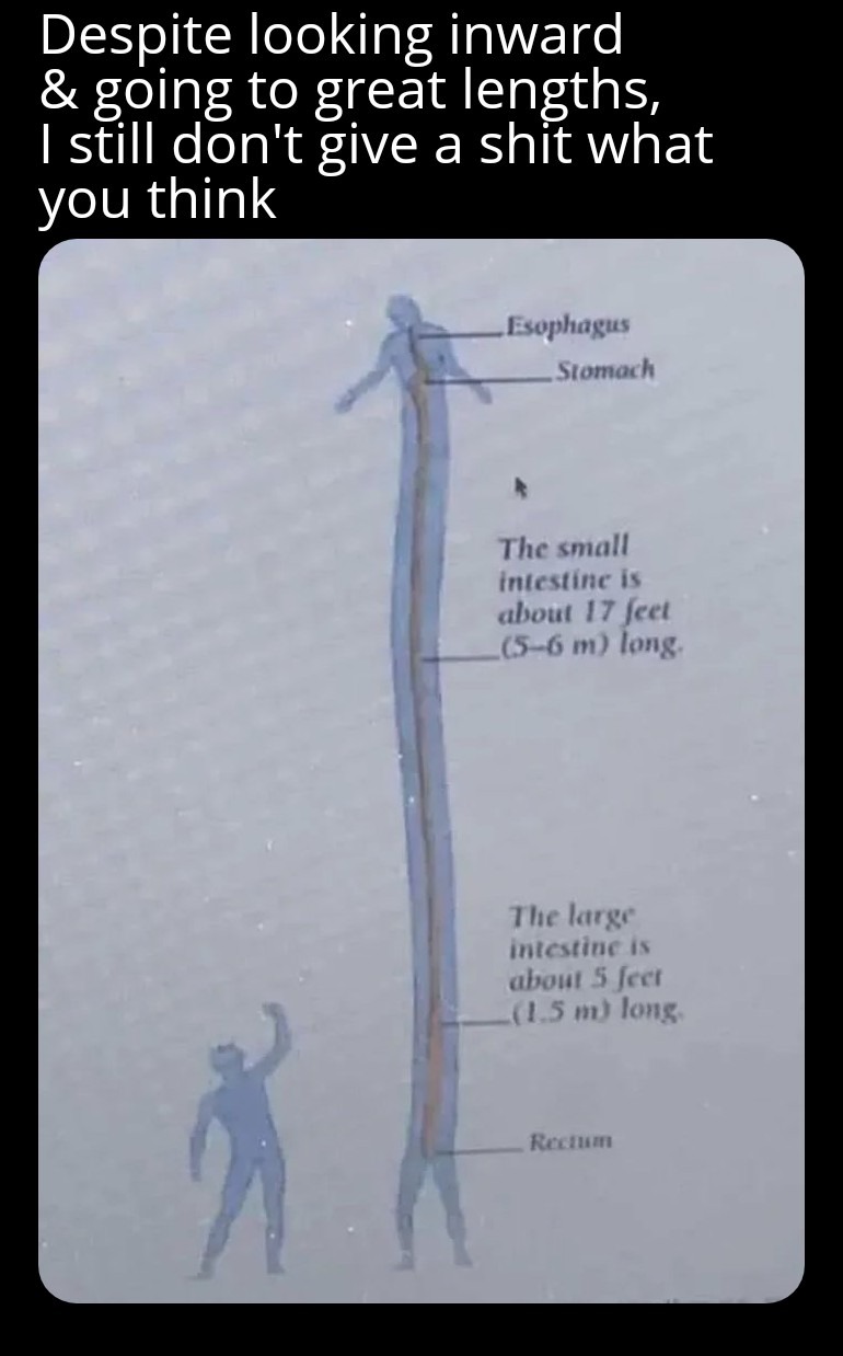 How long is your shit I don't care about? - meme