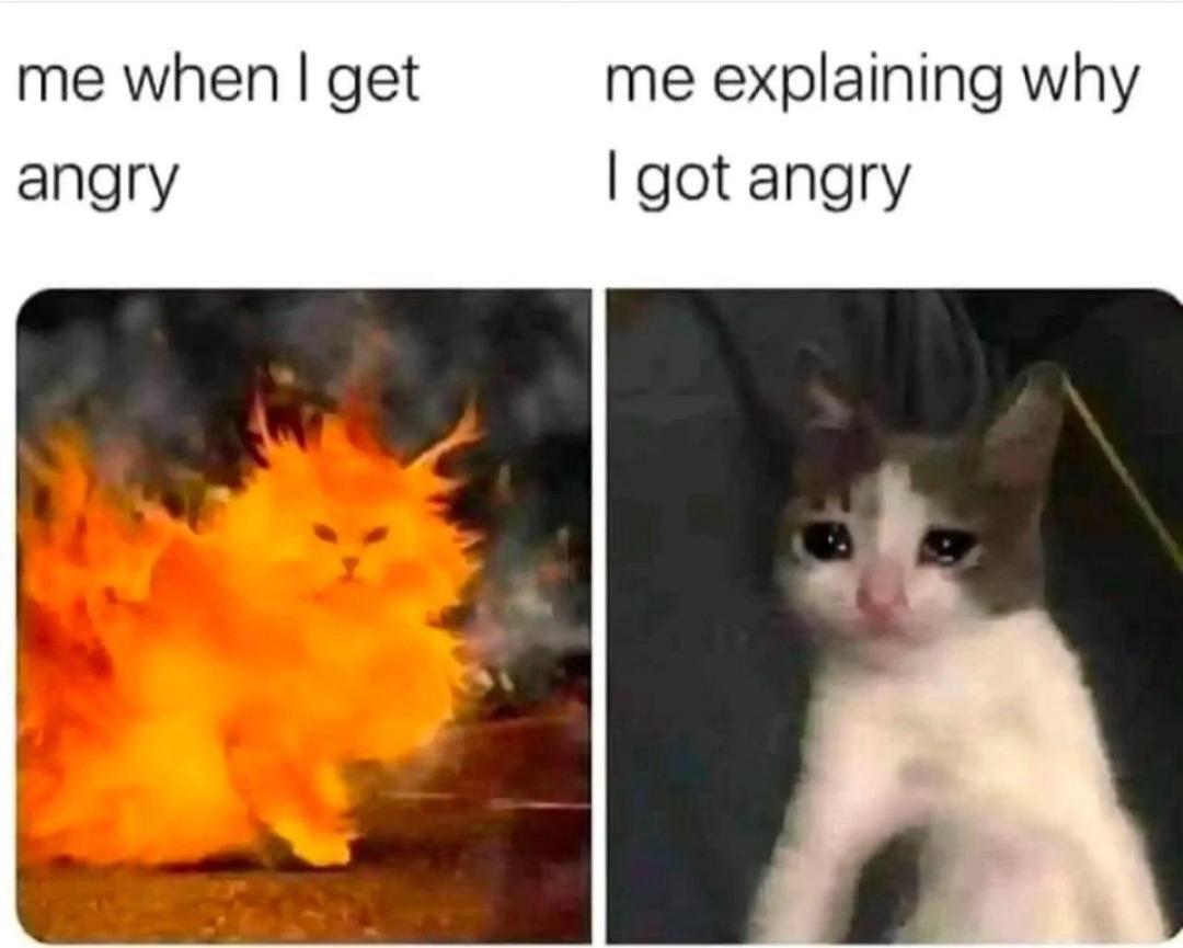 Me trying to explain why I’m mad while still mad - meme