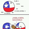 Hablen como chilenos wn >:(