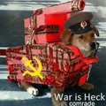 communist doggo