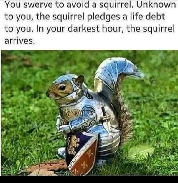 By the honor of my nut hoard I shall save you - meme