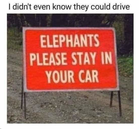 For the love of God please don't exit your car - meme