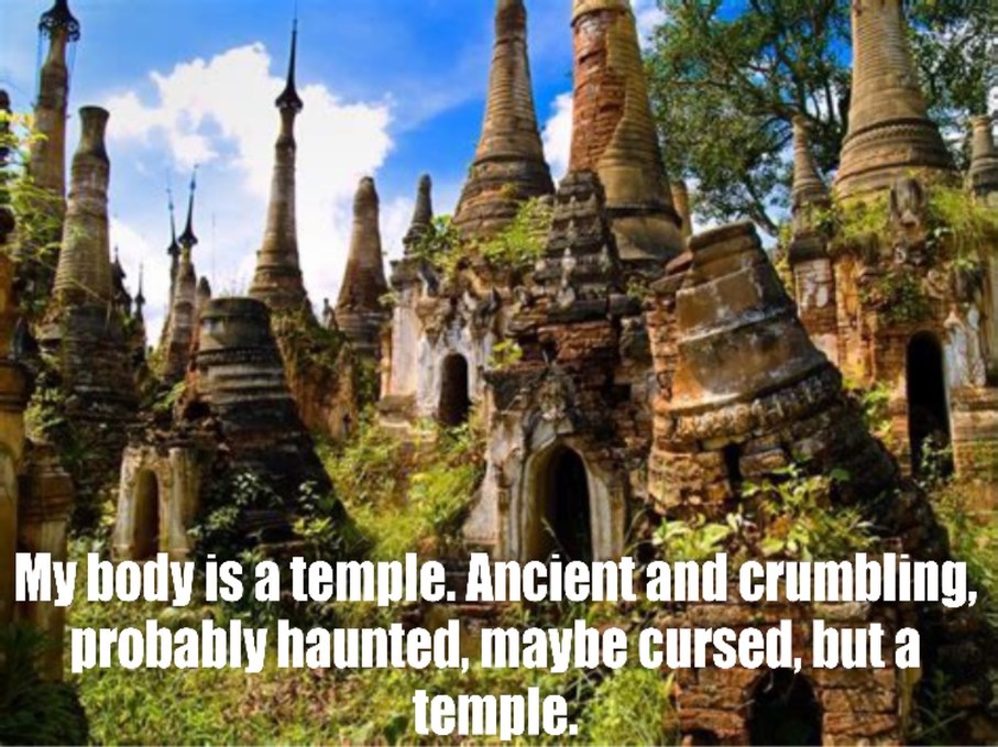 My body is quite the temple but I wouldn’t worship there. - meme