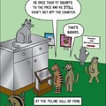 Cat Hall Of Fame