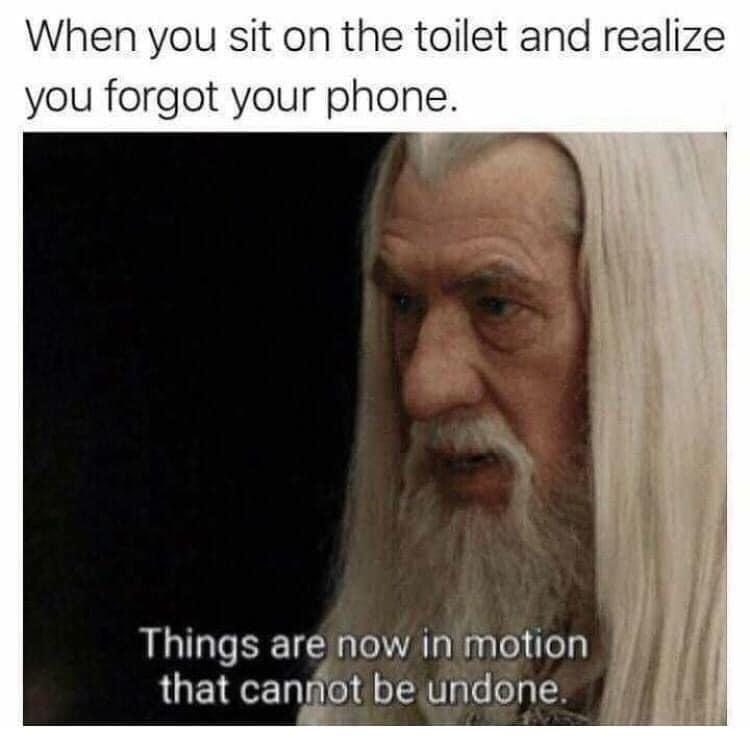 Toilet Phone Memes