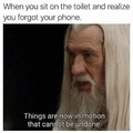Toilet Phone Memes